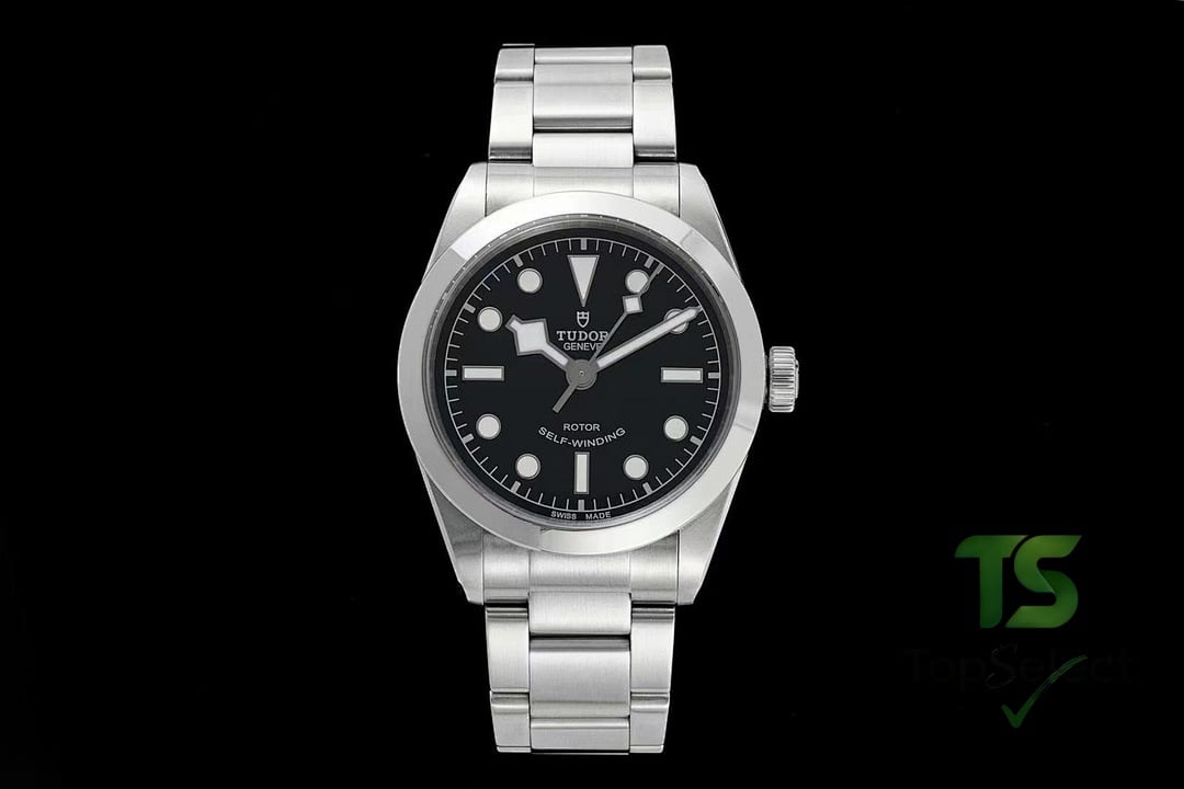 Tudor Black Bay 79500 Black Dial - 10