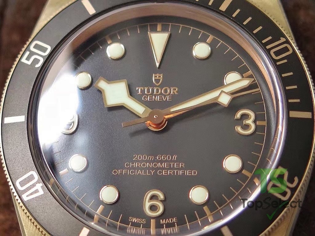 Tudor Black Bay Bronze M79250BA-0001 - 7