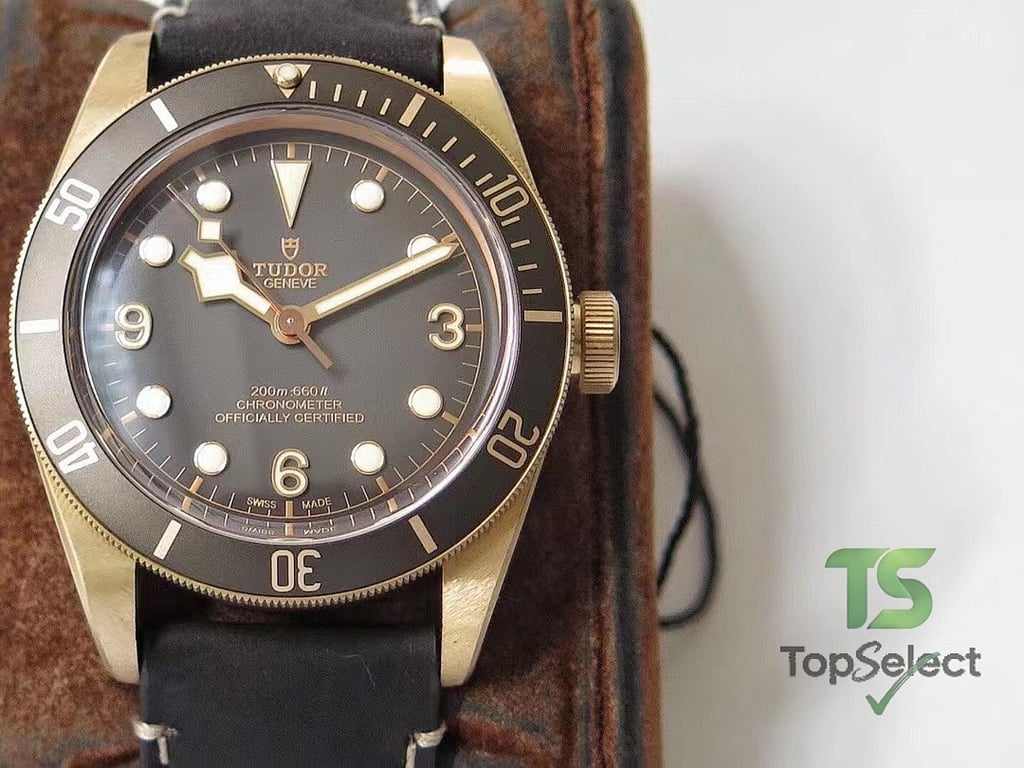 Tudor Black Bay Bronze M79250BA-0001 - 8