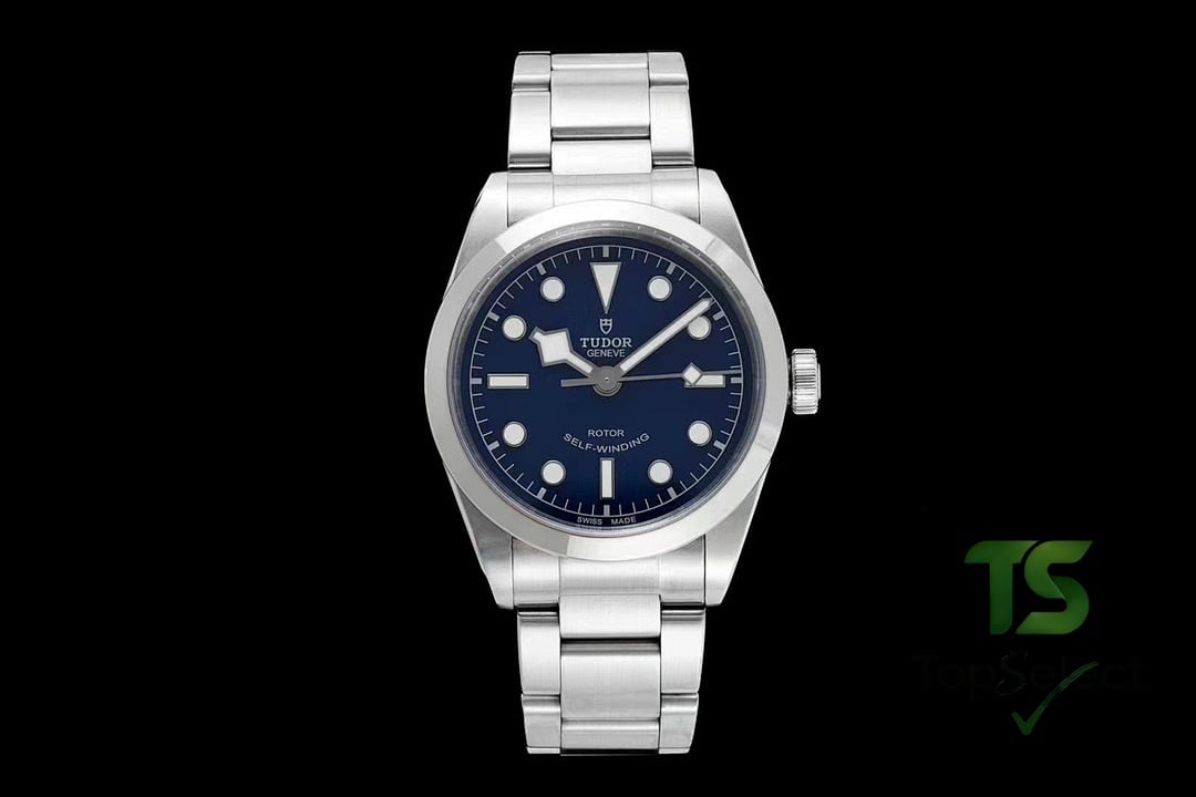 Tudor Black Bay 79500 - 2