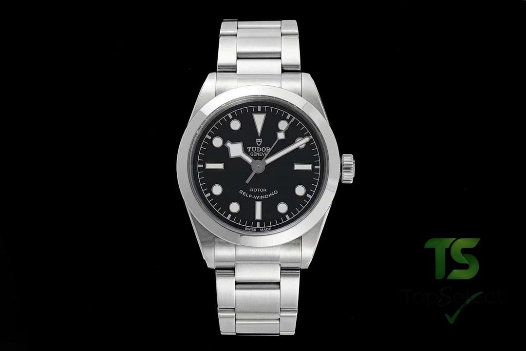 Tudor Black Bay 79500 - 3