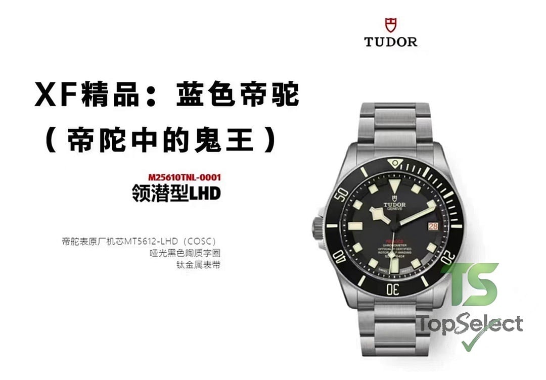 Tudor Pelagos Titanium Blue & LHD - 2