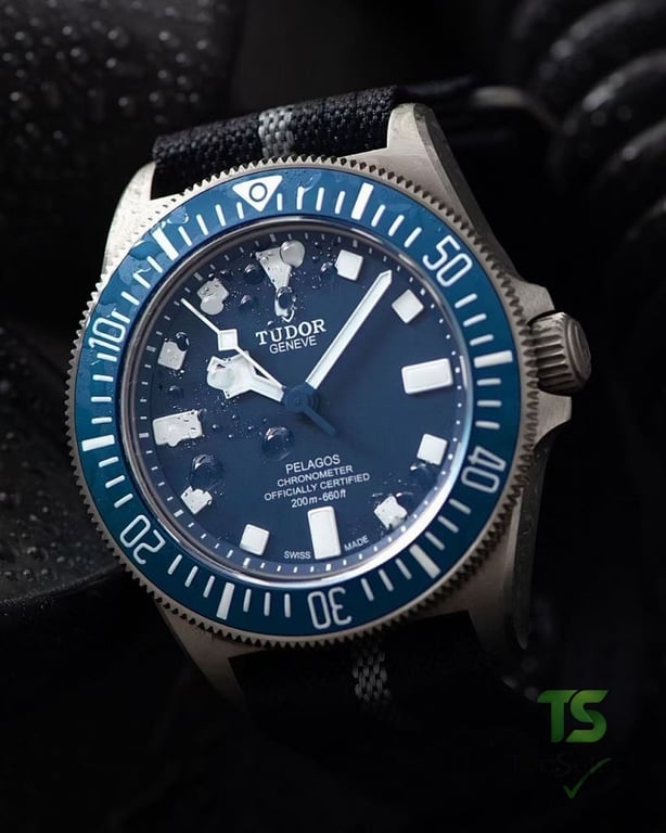 Tudor Pelagos FXD Blue Dial Titanium Watch - 2