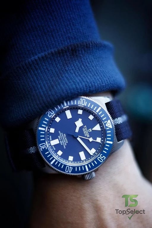 Tudor Pelagos FXD Blue Dial Titanium Watch - 5