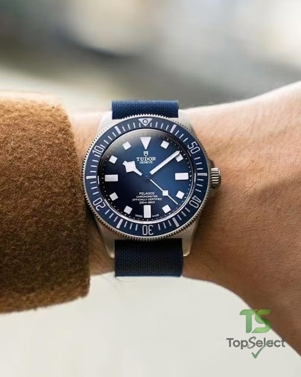 Tudor Pelagos FXD Blue Dial Titanium Watch - 6