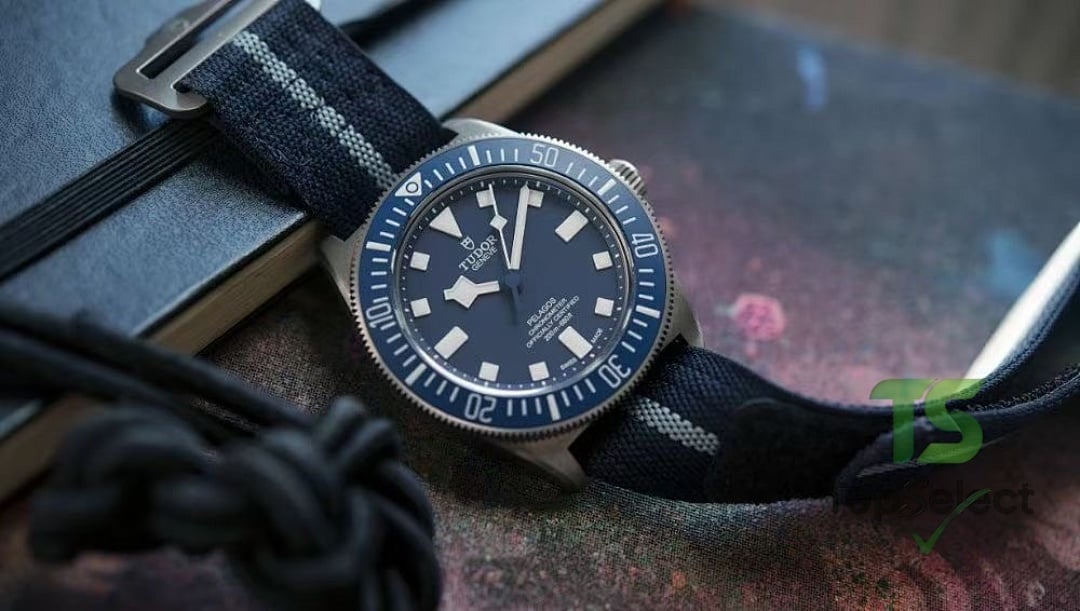 Tudor Pelagos FXD Blue Dial Titanium Watch - 8