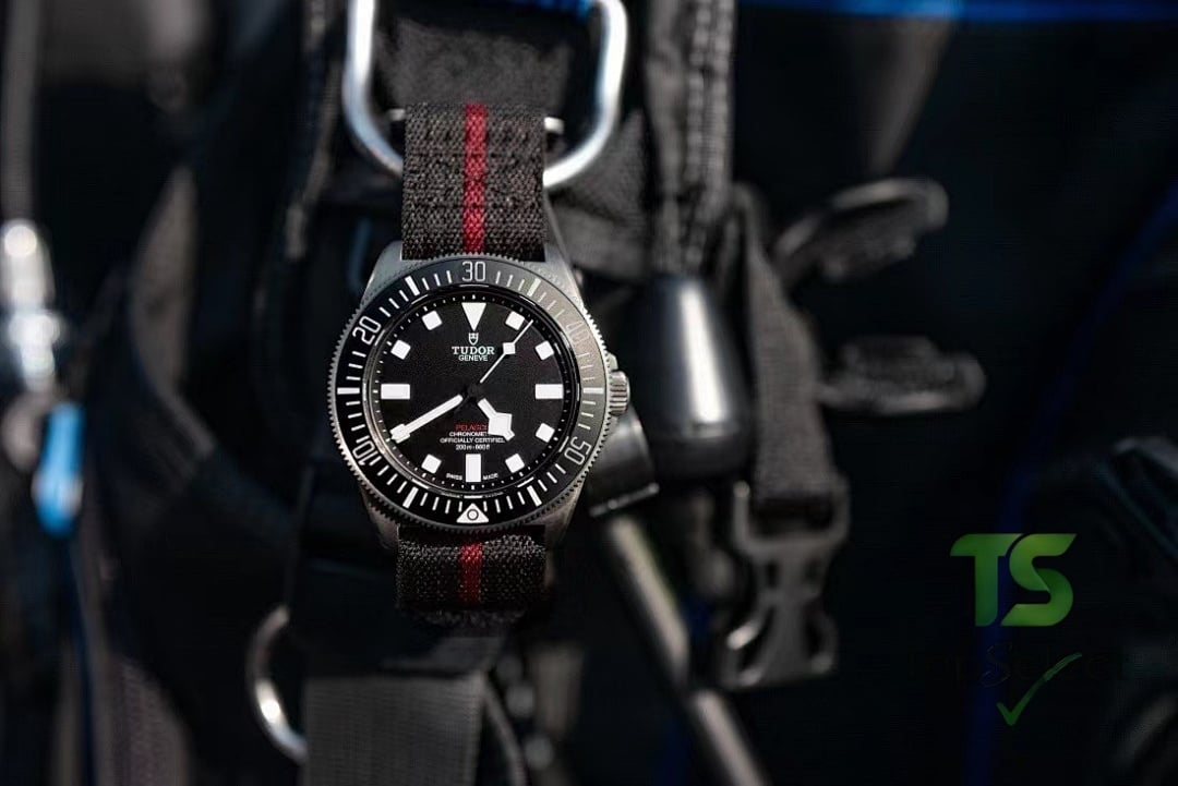 Tudor Pelagos FXD Ref. 25717N Titanium Watch - 6