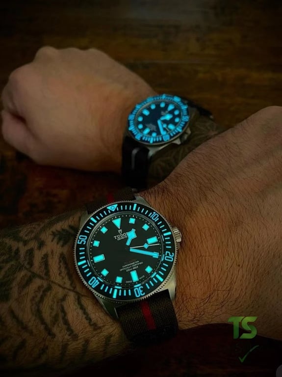 Tudor Pelagos FXD Ref. 25717N Black Dial - 2
