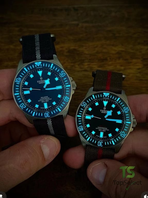 Tudor Pelagos FXD Ref. 25717N Black Dial - 4