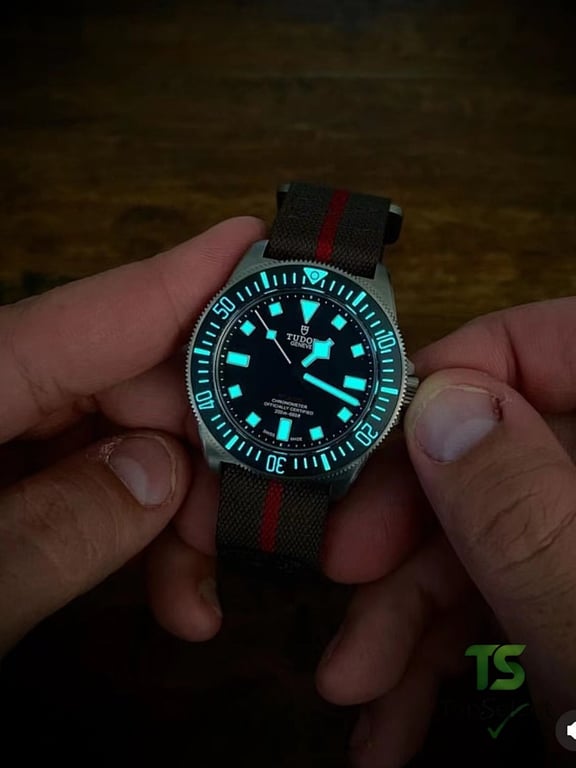 Tudor Pelagos FXD Ref. 25717N Black Dial - 7