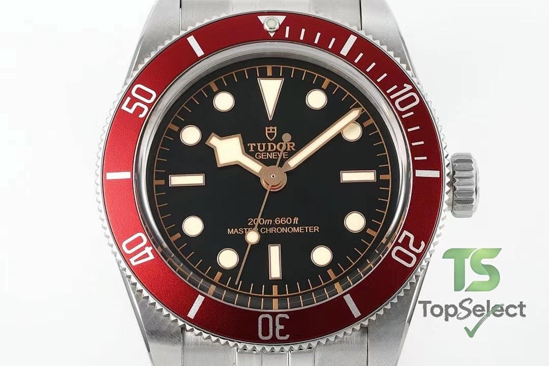 Tudor Black Bay 41 Burgundy Bezel - 6