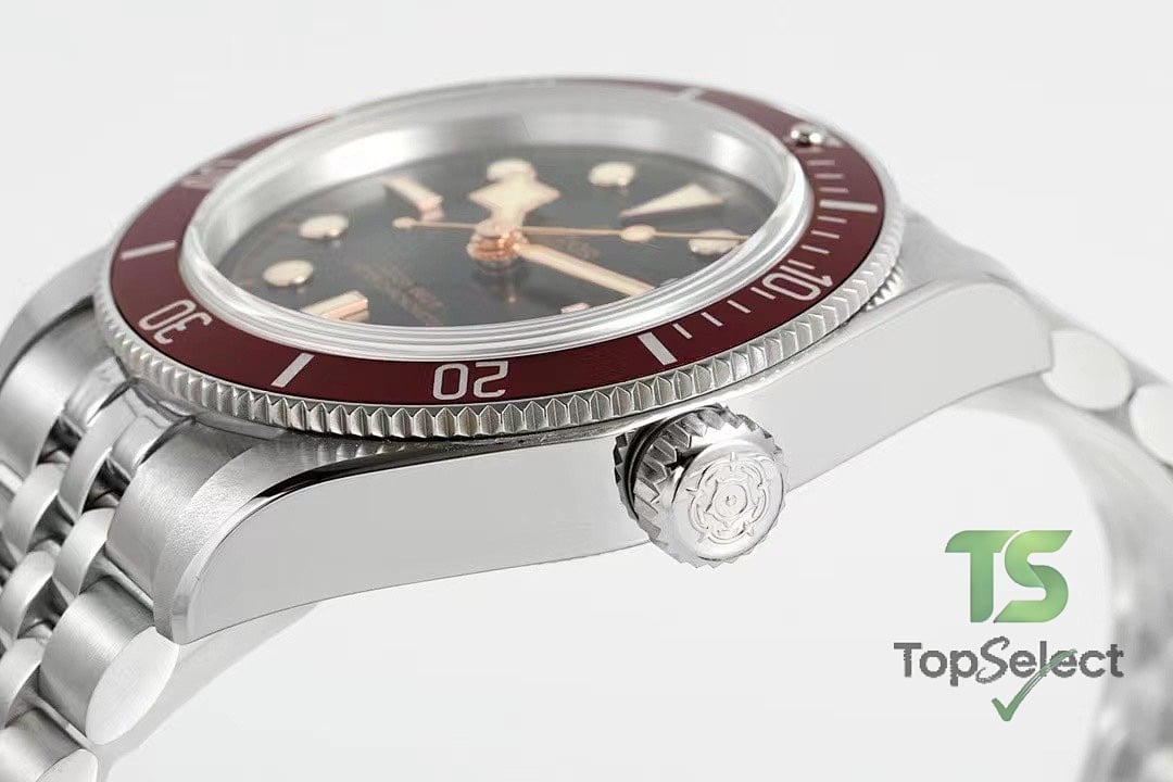 Tudor Black Bay 41 Burgundy Bezel - 9