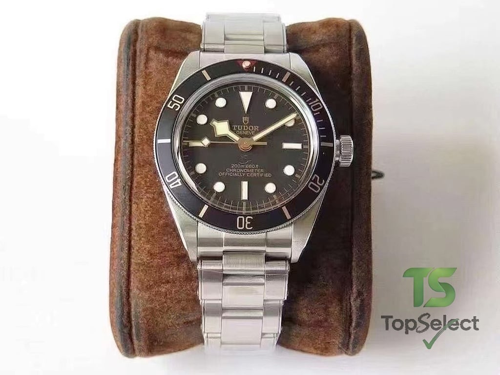 Tudor Black Bay & Pelagos Watches Collection - 4
