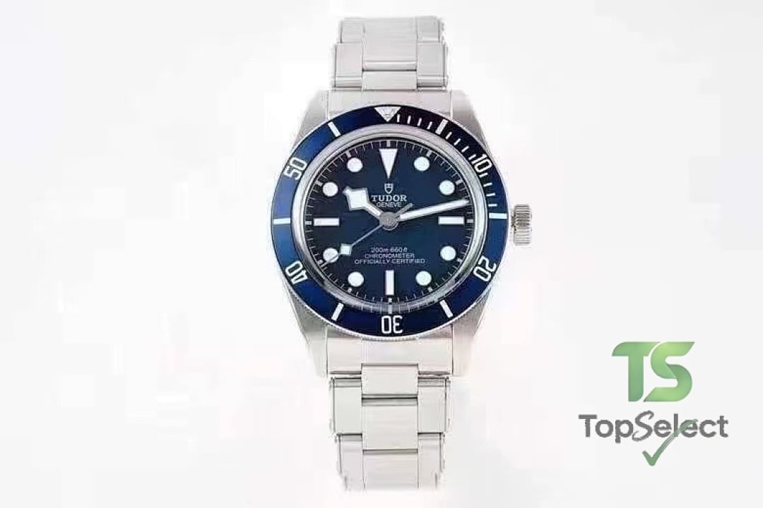 Tudor Black Bay & Pelagos Watches Collection - 5