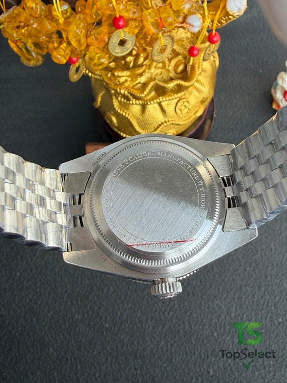 Tudor Black Bay Monochrome Black - 13