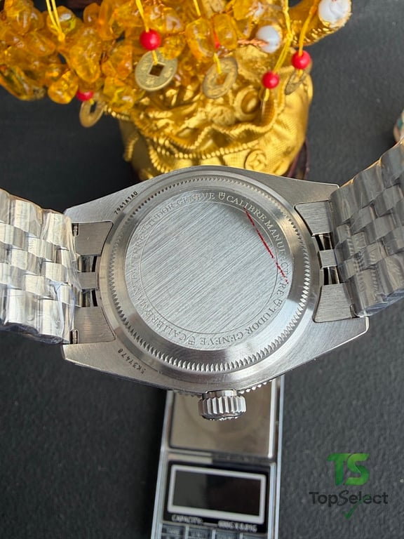 Tudor Black Bay Red Bezel 41mm - 6