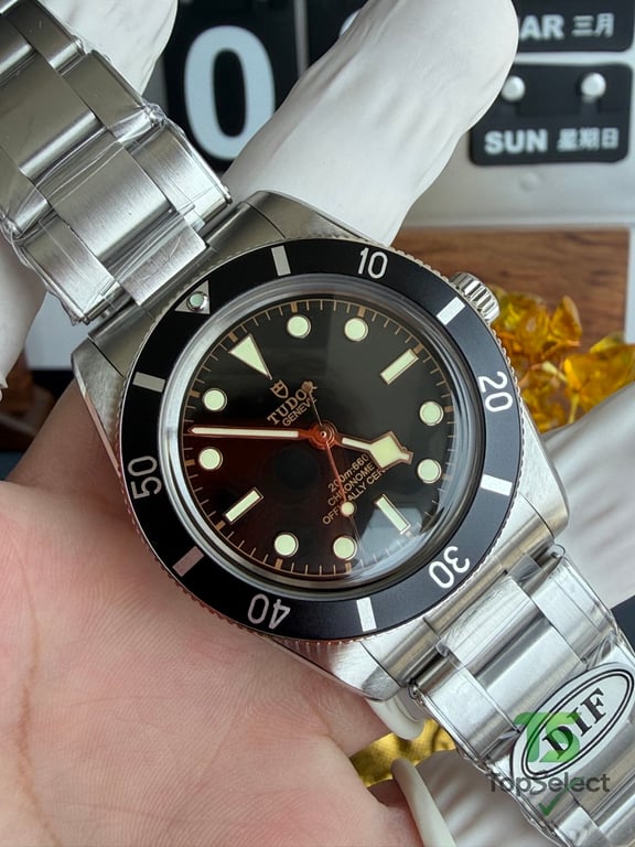 Tudor Black Bay 54 M79000N - 2