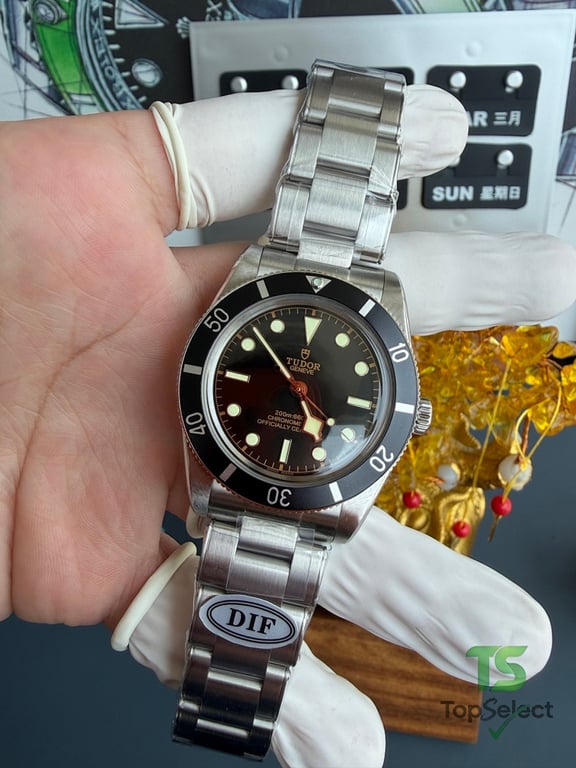 Tudor Black Bay 54 M79000N - 12