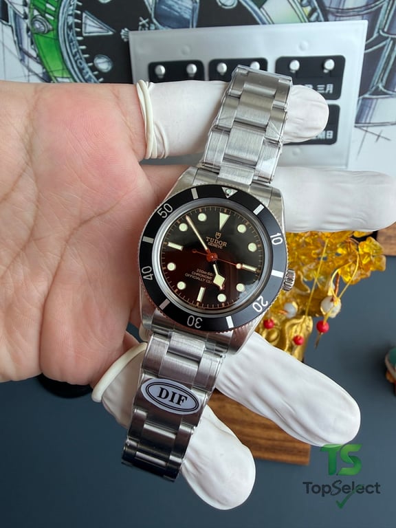 Tudor Black Bay 54 M79000N - 16