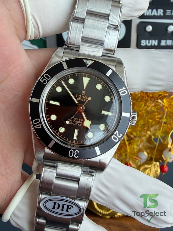 Tudor Black Bay 54 M79000N - 17