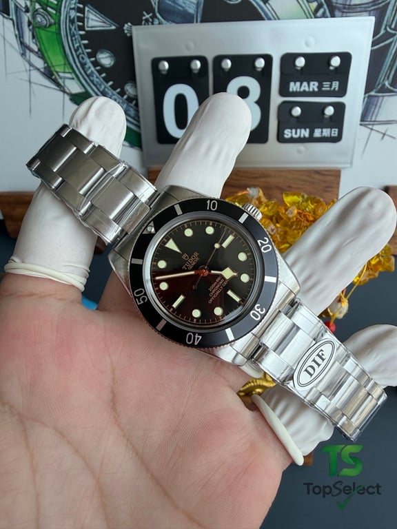 Tudor Black Bay 54 M79000N - 18