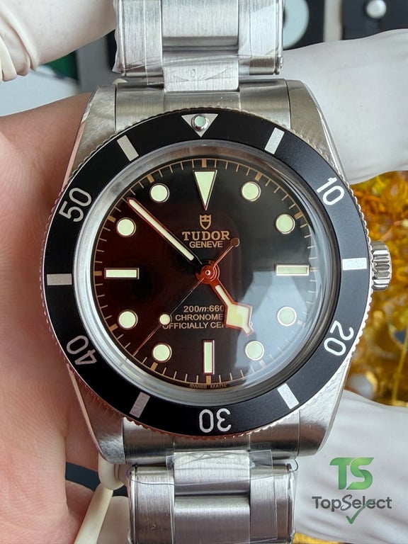 Tudor Black Bay 54 M79000N - 19