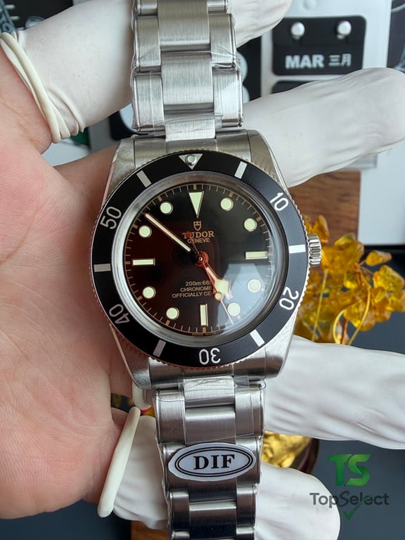 Tudor Black Bay 54 M79000N - 3
