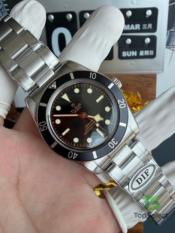 Tudor Black Bay 54 M79000N - 5