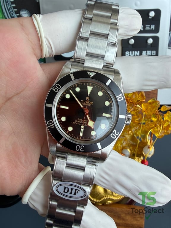 Tudor Black Bay 54 M79000N - 6