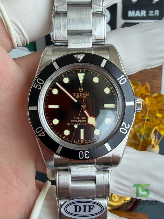 Tudor Black Bay 54 M79000N - 7