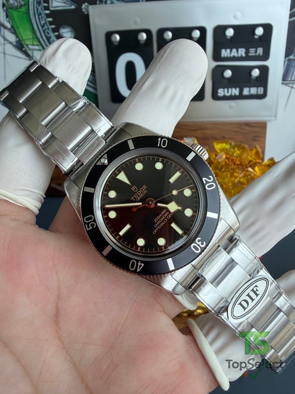 Tudor Black Bay 54 M79000N - 9