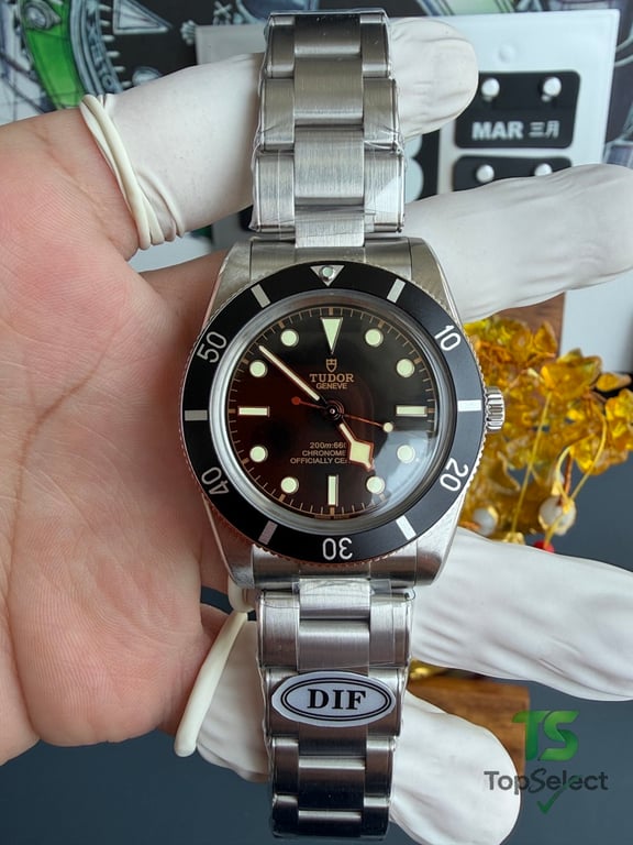 Tudor Black Bay 54 M79000N - 10