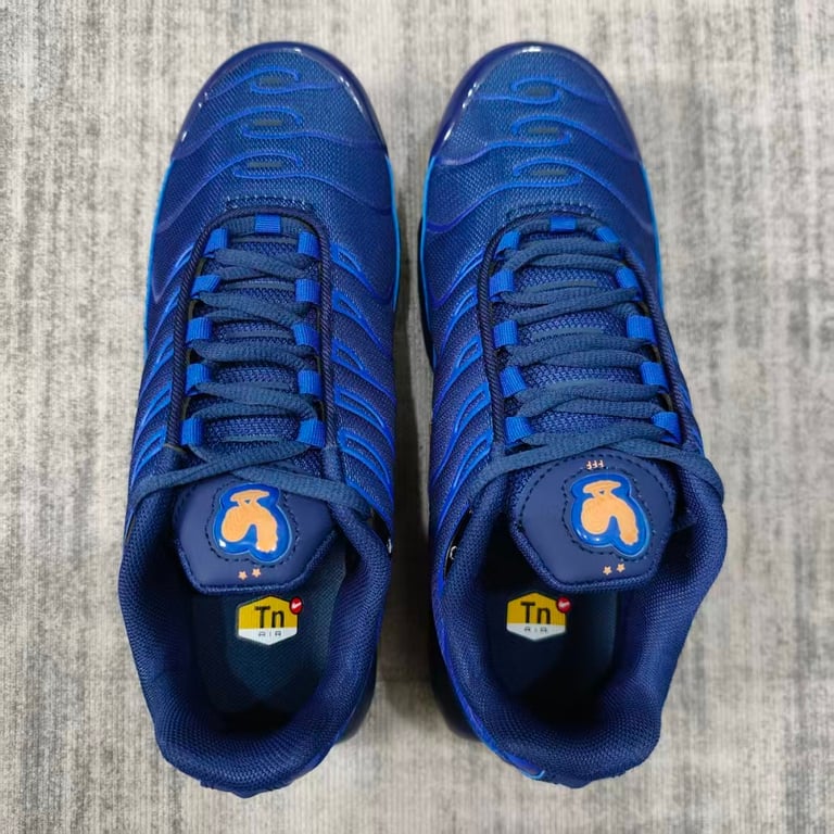 Nike Air Max Plus TN FFF Blue - 4