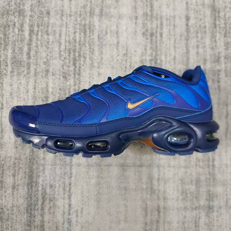 Nike Air Max Plus TN FFF Blue - 5