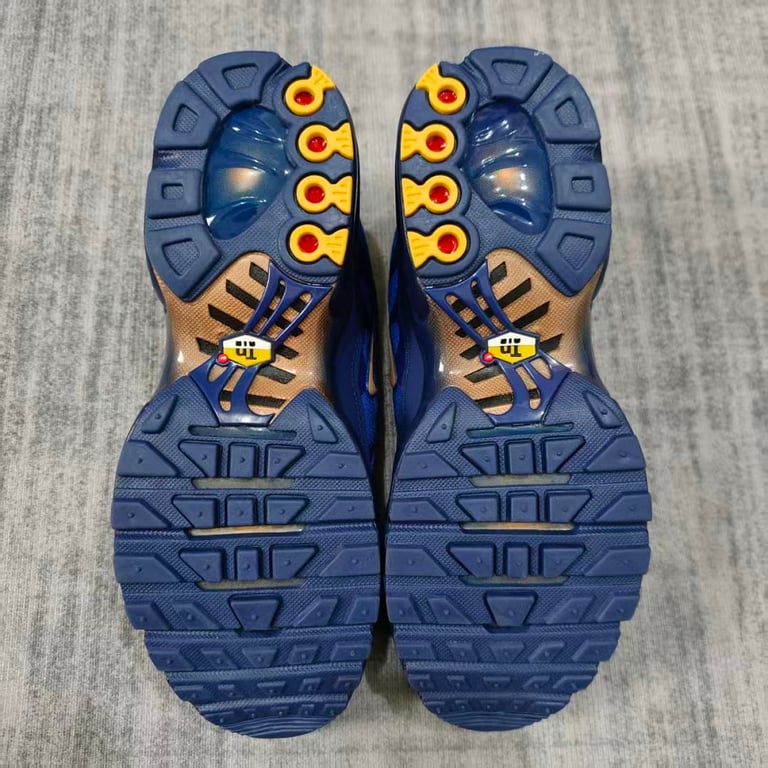 Nike Air Max Plus TN FFF Blue - 6