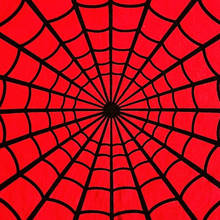 Supreme x Hanes Spider Web Tee - 10