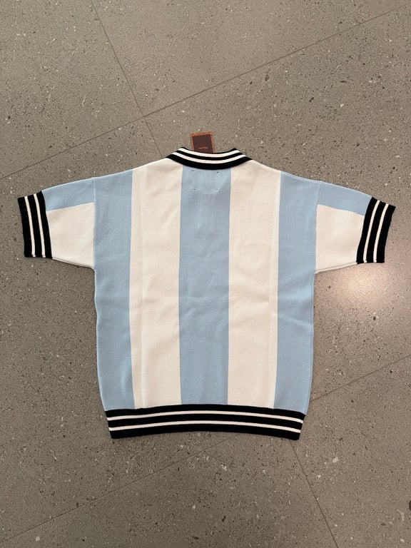 Vescartes Argentine Striped Knit Polo - 11