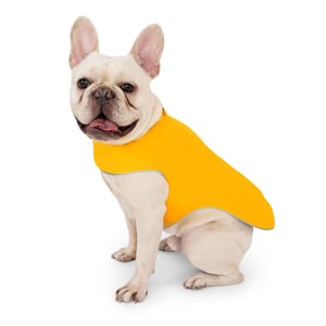 Dog Rain Jacket | Yellow