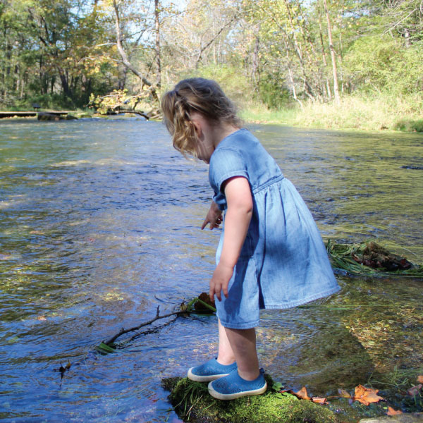 Our Nature Homeschool Journey