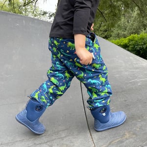 Kids Single Layer Rain Pants | Dinoland