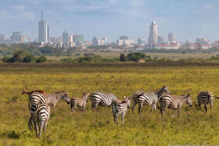 Nairobi Safari Trail