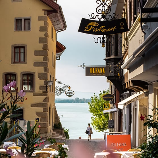 Zug: From Medieval Towers to Crypto Valley