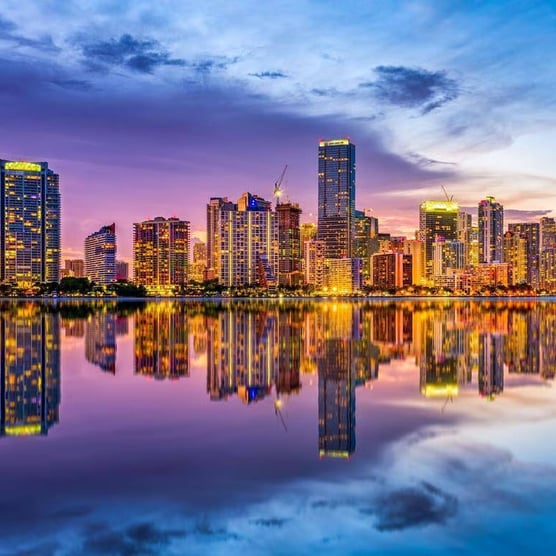 Neon Dreams of Miami