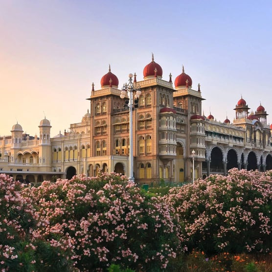 Best of Bengaluru: City of Contrasts