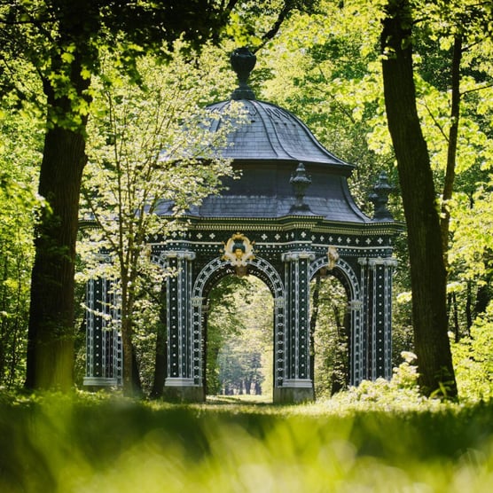 Vienna: Vineyards and Vistas