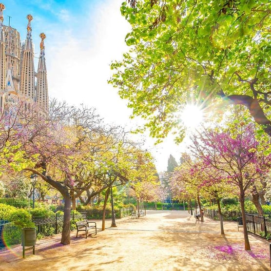 Barcelona: Gardens around the Sagrada Familia