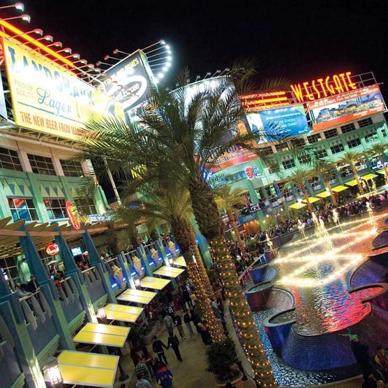 Phoenix: Desert Nights & Neon Lights