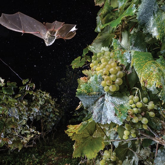 KOLGA TBILISI PHOTO 2026: Program