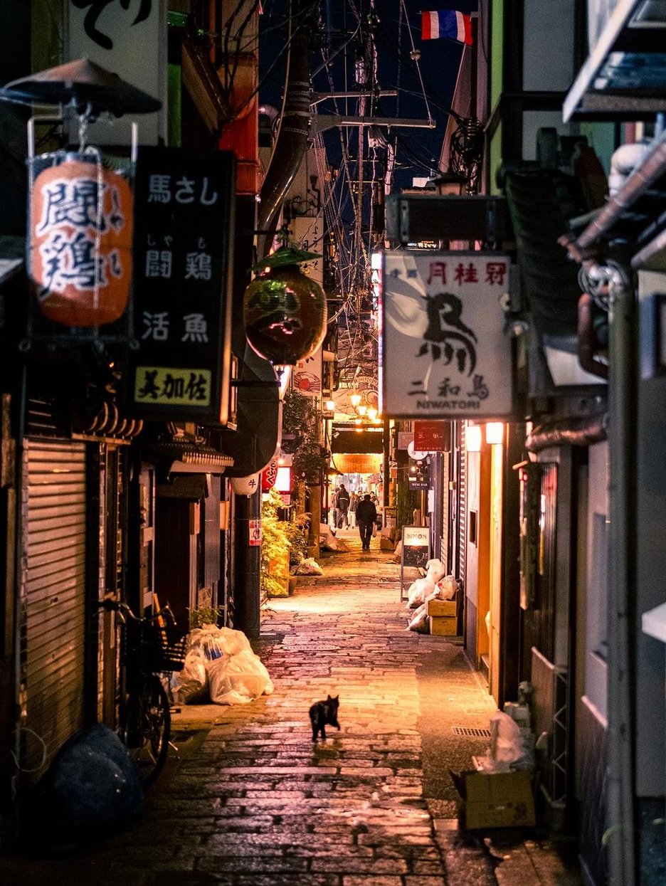 Backstreets Osaka: Hidden Alleys