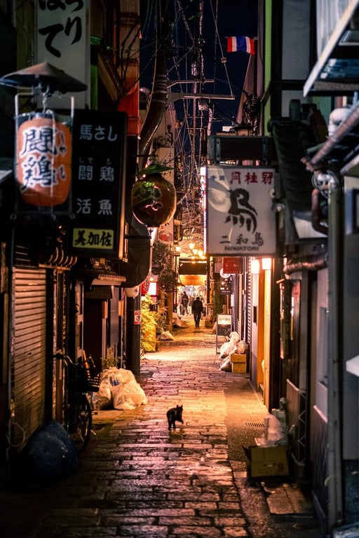 Backstreets Osaka: Hidden Alleys